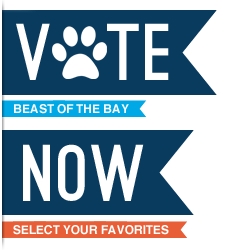 Vote for Us!