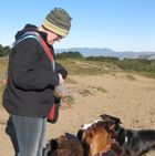 Dogs getting treats
