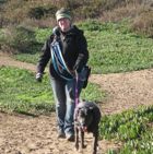 Dogs walking with Susan